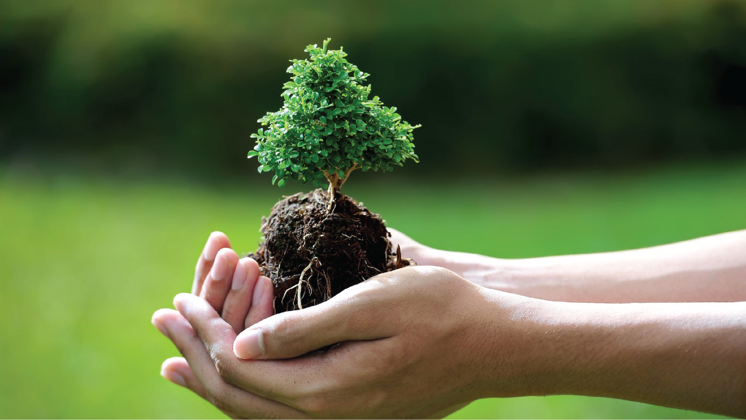 Sustainable Promise