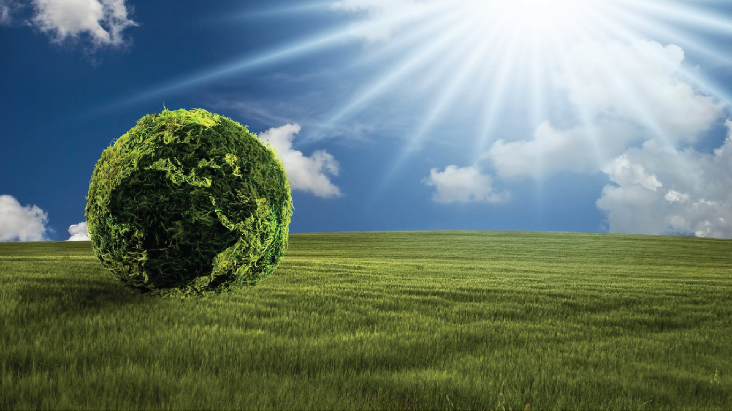 Eco-Friendly Solutions for a Greener Tomorrow