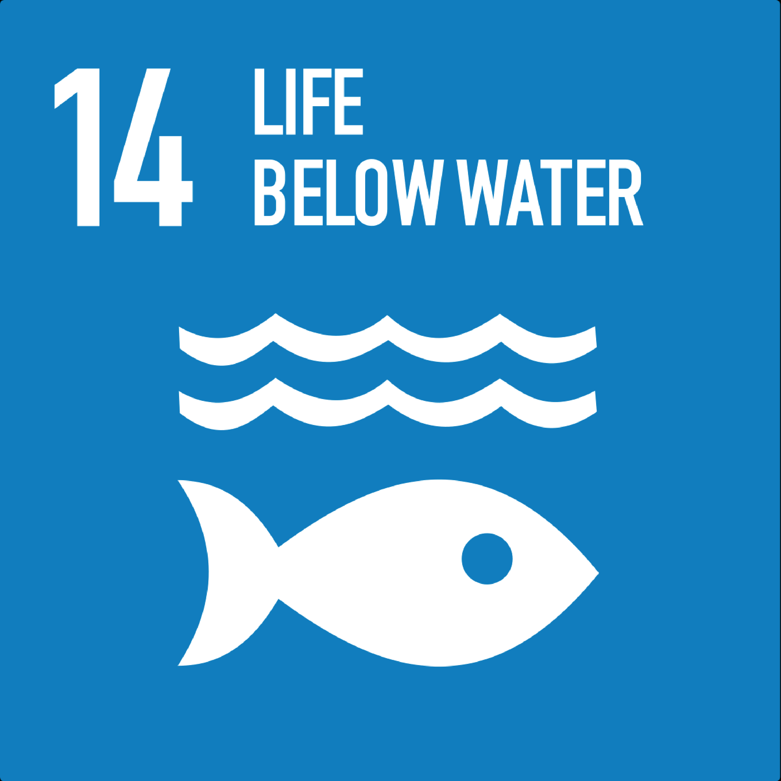 Sustainable Promise