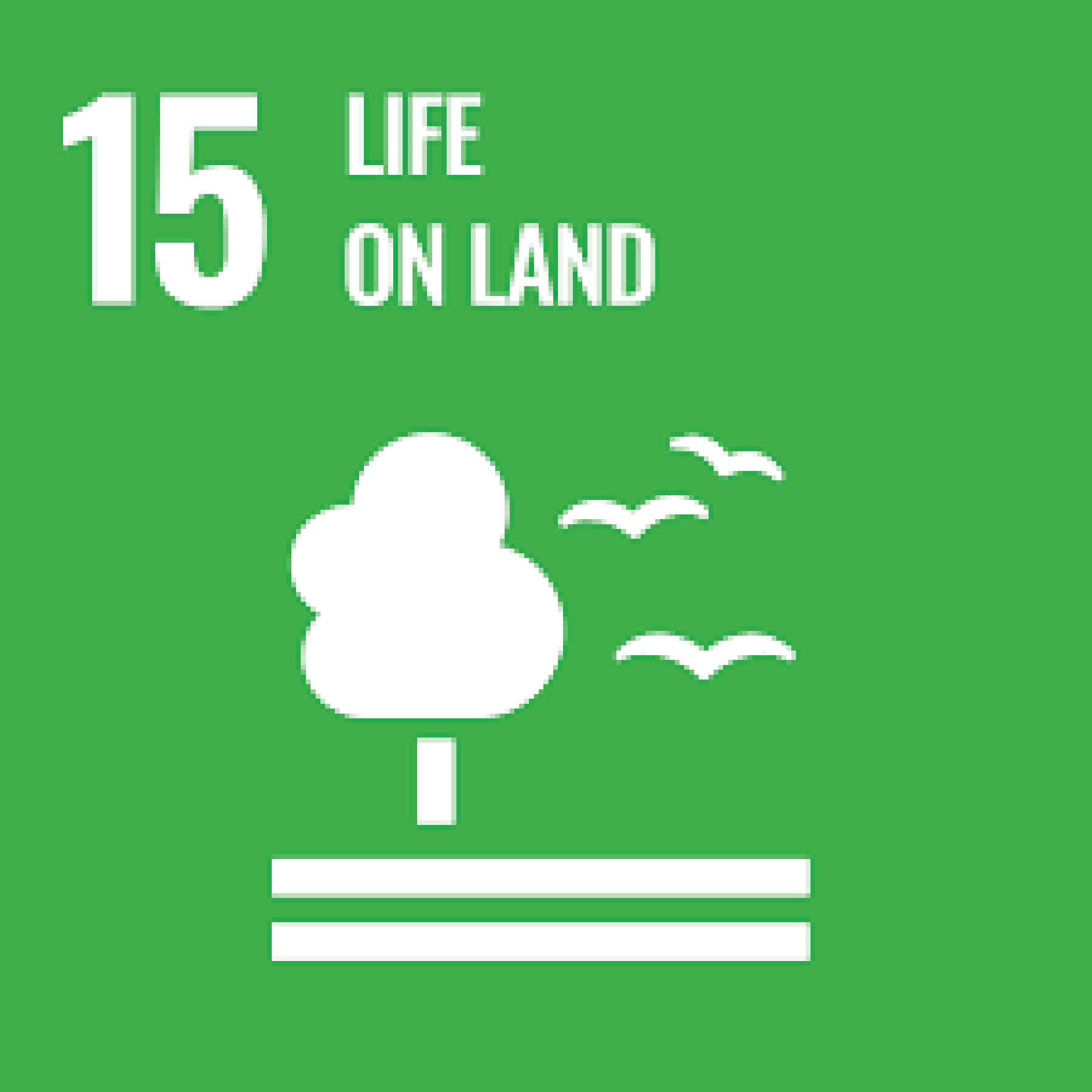 Sustainable Promise