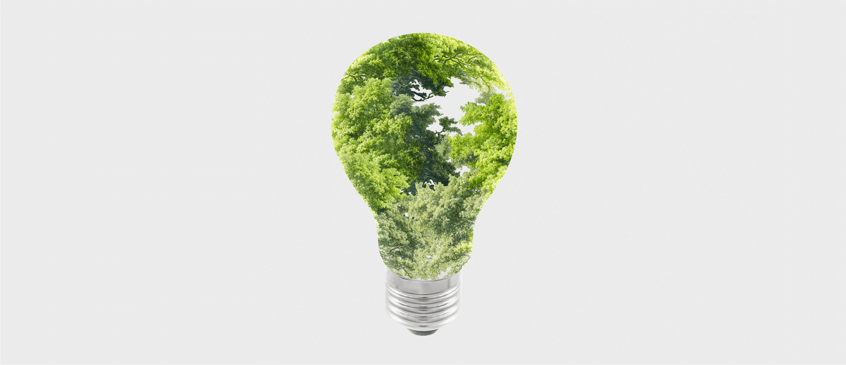 Our earth our responsibility